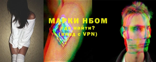 ECSTASY Пересвет